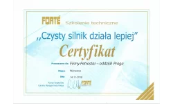 FORTE - Jesteśmy na bieżąco