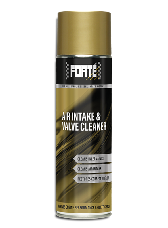 FORTÉ AIR INTAKE & VALVE CLEANER
